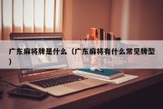广东麻将牌是什么（广东麻将有什么常见牌型）