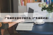 广东麻将全部对子叫什么（广东麻将术语）