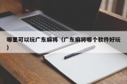 哪里可以玩广东麻将（广东麻将哪个软件好玩）