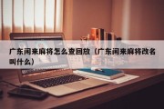 广东闲来麻将怎么查回放（广东闲来麻将改名叫什么）