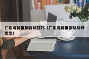 广东麻将推倒自胡技巧（广东麻将推倒胡胡牌类型）