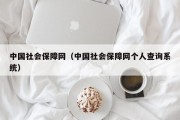 中国社会保障网（中国社会保障网个人查询系统）