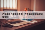 广东麻将只能碰和自摸（广东麻将碰牌后可以暗杠吗）