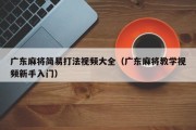 广东麻将简易打法视频大全（广东麻将教学视频新手入门）