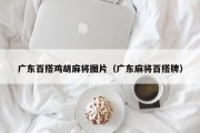 广东百搭鸡胡麻将图片（广东麻将百搭牌）