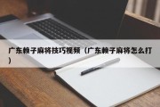 广东赖子麻将技巧视频（广东赖子麻将怎么打）