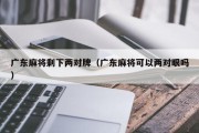 广东麻将剩下两对牌（广东麻将可以两对眼吗）