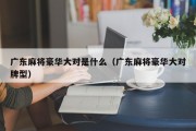 广东麻将豪华大对是什么（广东麻将豪华大对牌型）