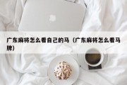 广东麻将怎么看自己的马（广东麻将怎么看马牌）