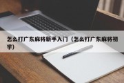 怎么打广东麻将新手入门（怎么打广东麻将初学）