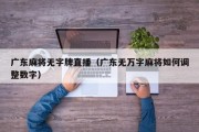 广东麻将无字牌直播（广东无万字麻将如何调整数字）