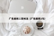 广东麻将二筒叫法（广东麻将2马）