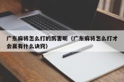 广东麻将怎么打的厉害呢（广东麻将怎么打才会赢有什么诀窍）