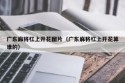 广东麻将杠上开花图片（广东麻将杠上开花算谁的）