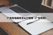 广东陈琳麻将怎么打视频（广东陈林）