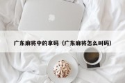 广东麻将中的拿码（广东麻将怎么叫码）