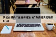 只能自摸的广东麻将打法（广东麻将只能碰的打法）