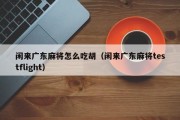 闲来广东麻将怎么吃胡（闲来广东麻将testflight）
