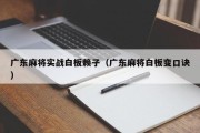广东麻将实战白板赖子（广东麻将白板变口诀）