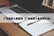 广东麻将八集视频（广东麻将八集视频大全）