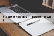 广东麻将赖子牌的用法（广东麻将赖子怎么看）