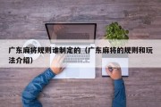 广东麻将规则谁制定的（广东麻将的规则和玩法介绍）